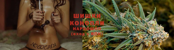 ECSTASY Армянск
