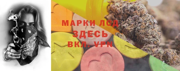 ПСИЛОЦИБИНОВЫЕ ГРИБЫ Покровск
